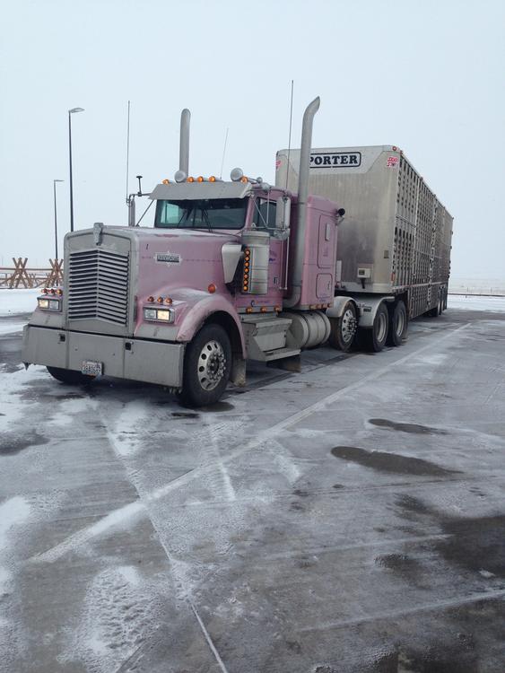 Livestock Network Cattle Trailers For Sale Cattle Trucking Jobs Bull Racks